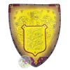 Disney Toy - Disney Family Crest Foam Shield - Lions 1 Disney Toy - Disney Family Crest Foam Shield - Lions -Boutique Disney Toy Store 102114 1